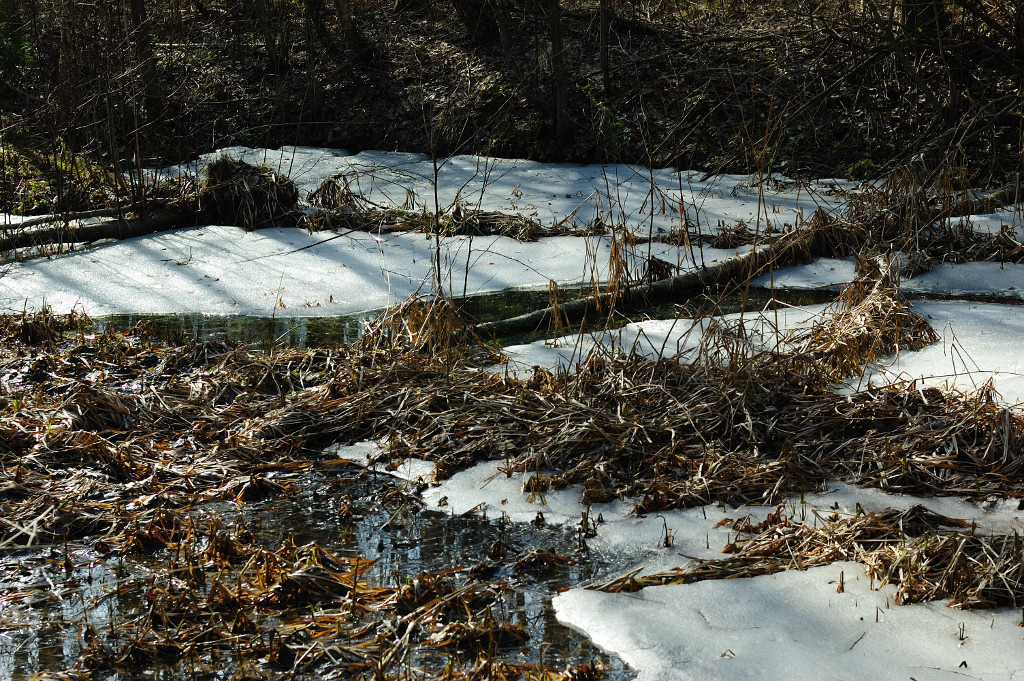 April - snow is only in shadow