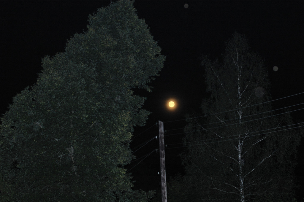 Moonlight