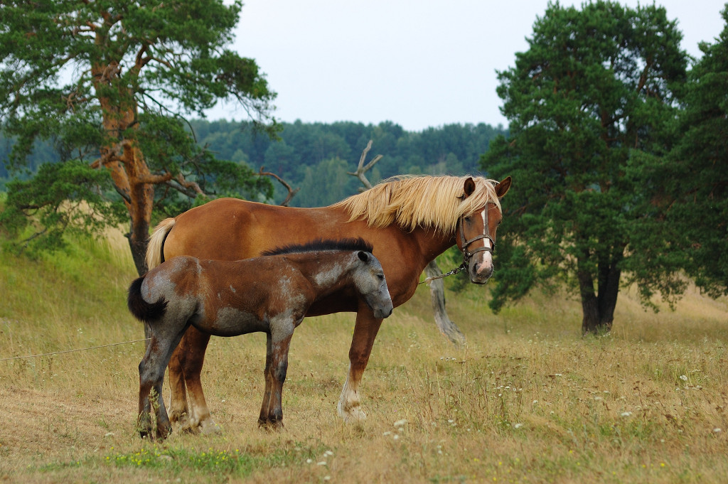 Mom and child