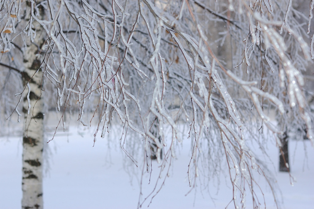 After icestorm